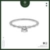cincin sc 11